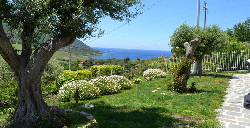 cilento longevity la vacanza rigenerante